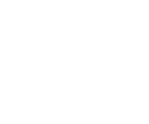 PrettyPerfectYou_Logo_White_HighRes